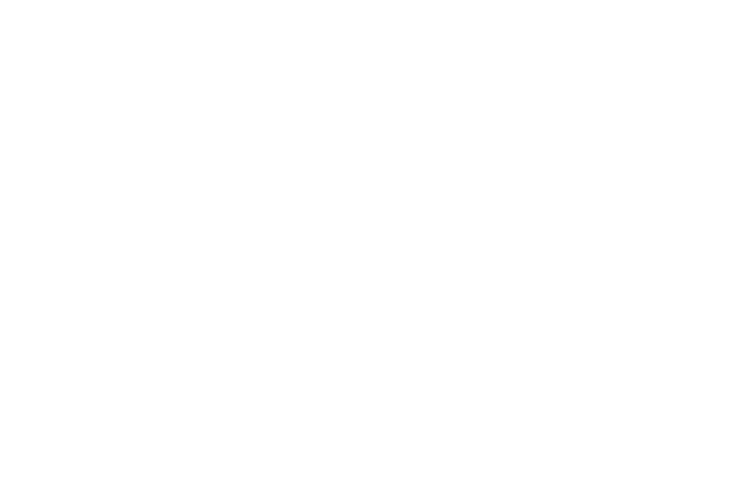 Digipay Logo